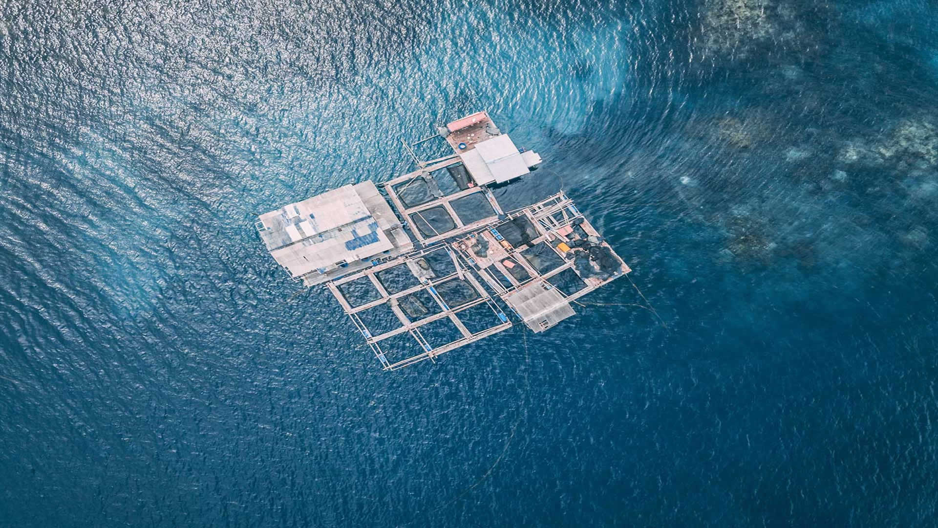 Biva Pearl Farm